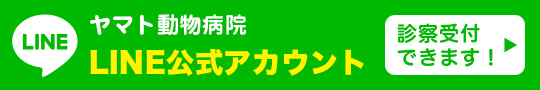 ヤマト動物病院公式LINEアカウント