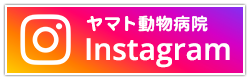 ヤマト動物病院Instagram
