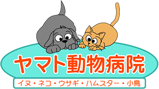 ヤマト動物病院リクルートサイト