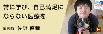 先輩インタビュー