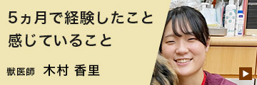 先輩インタビュー
