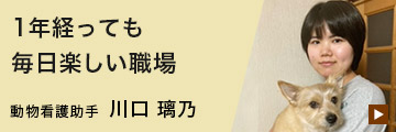 先輩インタビュー
