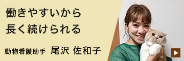 先輩インタビュー